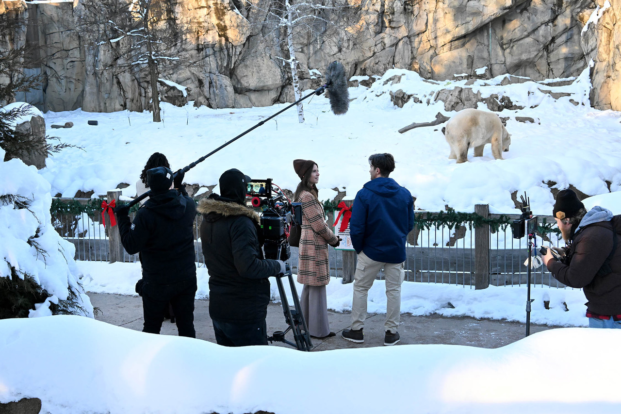 Filming in the snow at Brookfield Zoo Chicago